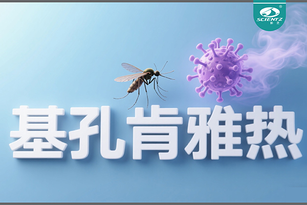 基孔肯雅熱疫情升級！新芝生物硬核技術助力病毒精準診斷